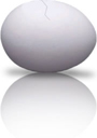 Eggdrop